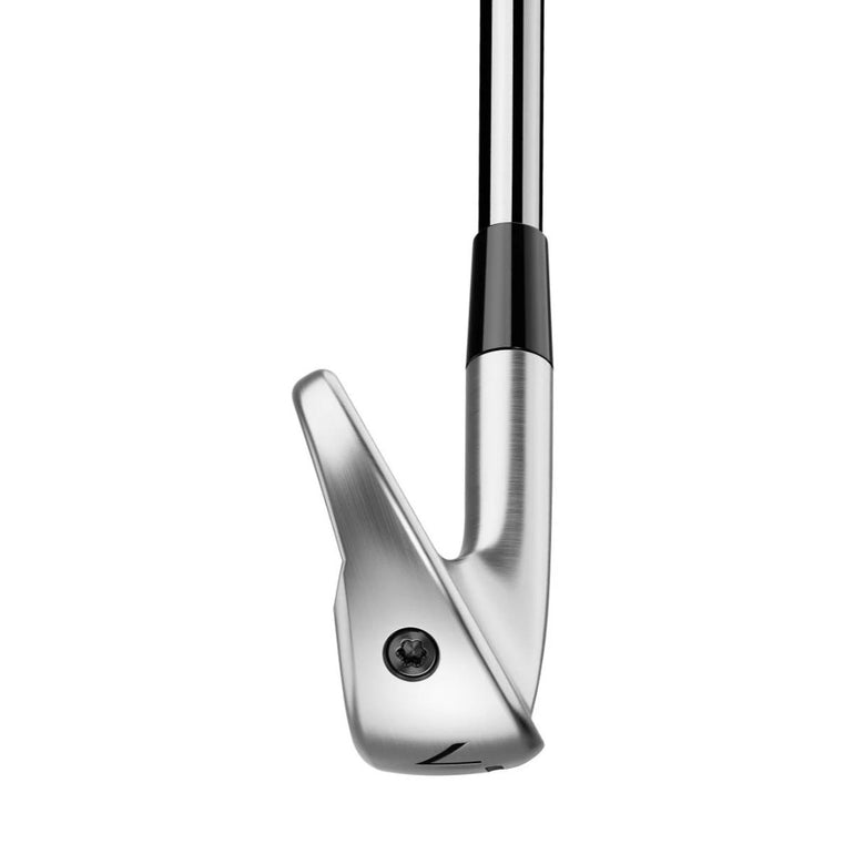 CUSTOM TaylorMade P790 Irons 25
