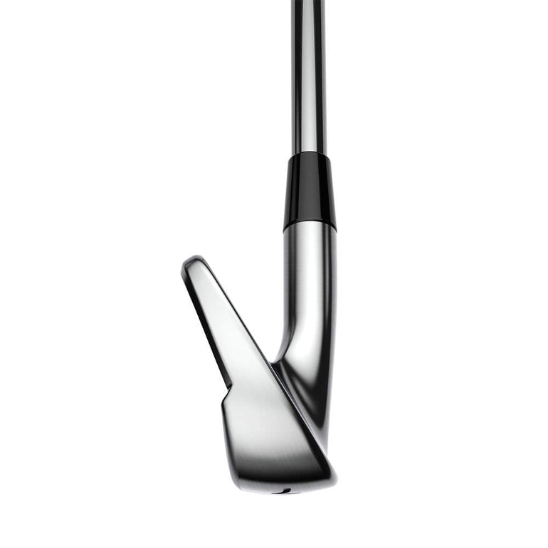 CUSTOM Cobra King Tour Irons
